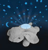 Bild von Sternenhimmel Projektor Dream Buddies® - Benny- Bunny