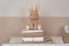 Bild von Kuscheltier Hase - Baby bunny 32cm