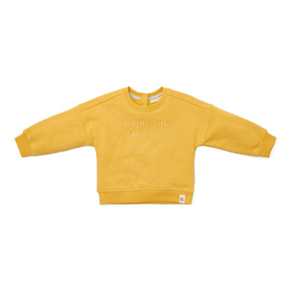 Bild von Sweater Mustard Yellow - 80