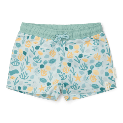 Bild von Swim trunks Seashells Multi-colour - 98/104