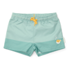 Bild von Swim trunks Seashells Surf Blue - 86/92