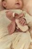Bild von Safari Friends - Quietscherassel GRS