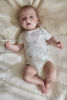 Bild von Newborn NOOS Safari Freunde Strampler kurzarm Little Safari 56